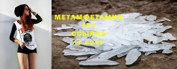 прущие грибы Беломорск