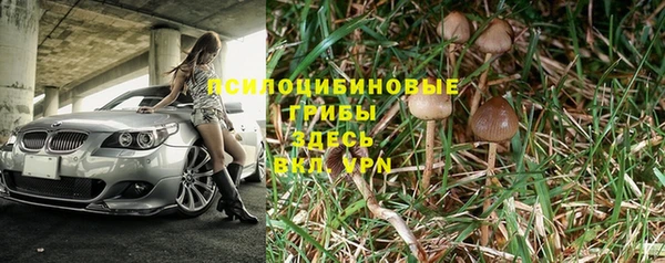 альфа пвп Сосновоборск