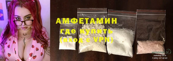прущие грибы Беломорск