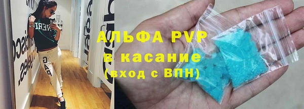 прущие грибы Беломорск