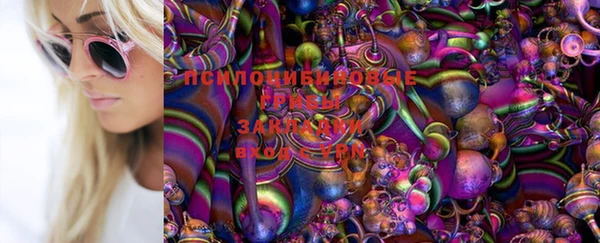 прущие грибы Беломорск