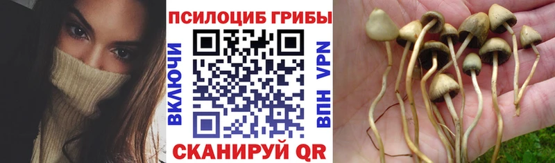 kraken ССЫЛКА  Вуктыл  Галлюциногенные грибы мухоморы  как найти  
